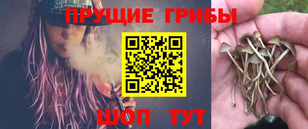 Псилоцибиновые грибы Magic Shrooms Гудермес