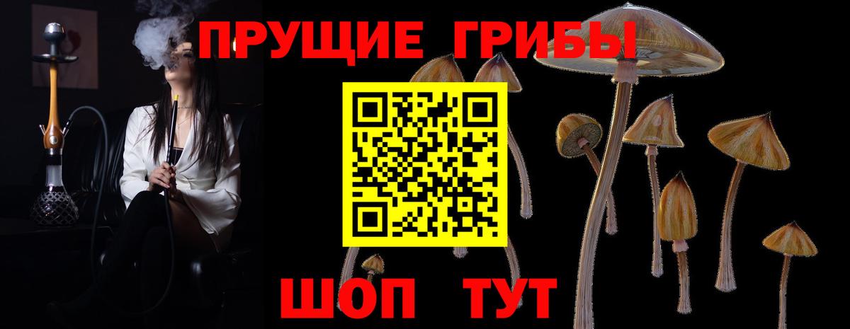 Псилоцибиновые грибы GOLDEN TEACHER  Вход с VPN  Гудермес 